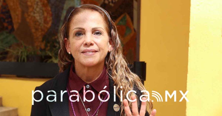 Justifica Olga Romero bardas a su favor: no son campa&ntilde;a, son &ldquo;expresi&oacute;n social&rdquo;