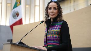 Proponen que defensores animalistas y rescatistas los proteja la ley