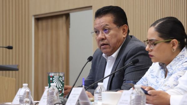 Salud mental de ser prioridad en la agenda p&uacute;blica de Puebla: diputado
