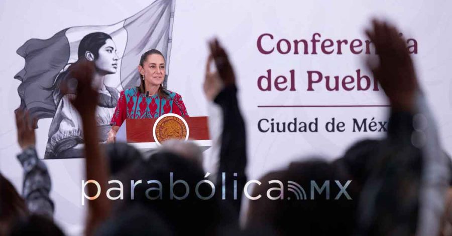 Se reestructurar&aacute;n cr&eacute;ditos para 60 mil productores agropecuarios: Sheinbaum