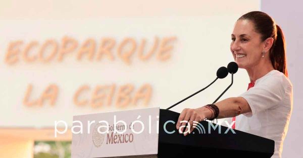 Ning&uacute;n Gobierno extranjero puede entrar en nuestro territorio: Sheinbaum