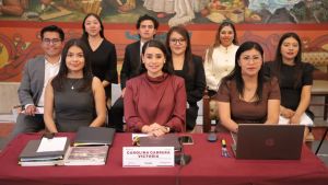 Comparece ante el Cabildo el titular de la Juventud municipal