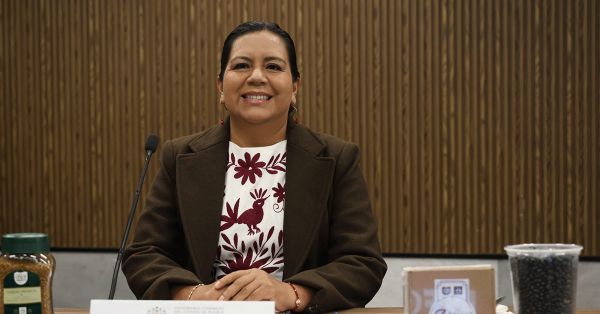 Comparece Secretaria de Agricultura y Desarrollo Rural en el Congreso