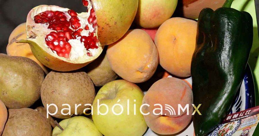 Descarta SADR que lluvias pongan en riesgo la temporada de Chiles en Nogada