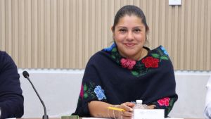 Inician consultas sobre ley de derechos de pueblos originarios