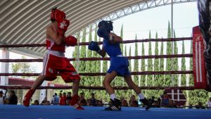 Gobierno capitalino desarrolla funciones 6 y 7 del Torneo de Barrios de Box