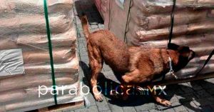 Identifica Marina 54 toneladas de precursores de drogas en la Aduana de Manzanillo