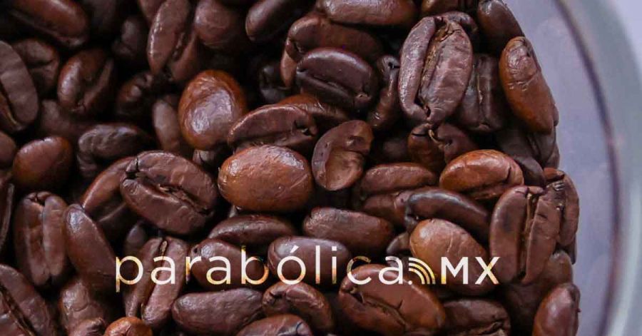 Tendr&aacute; Puebla planta de Caf&eacute; del Bienestar; Mar&iacute;a Luisa Albores har&aacute; el anuncio: SADR