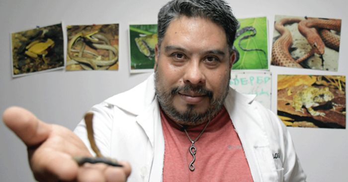 Investigador BUAP descubre una nueva especie de serpiente end&eacute;mica de Puebla