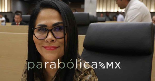 Propone Fedrha Suriano prohibiciones y l&iacute;mites para anuncios publicitarios