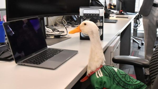 Entrega Econom&iacute;a a familia de Pato Merl&iacute;n su registro de marca