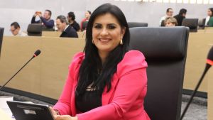 Propone la diputada Delfina Pozos sancionar la simulaci&oacute;n de delitos