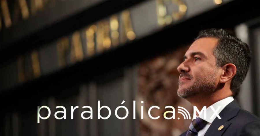 Aliados de Nacho y Ad&aacute;n