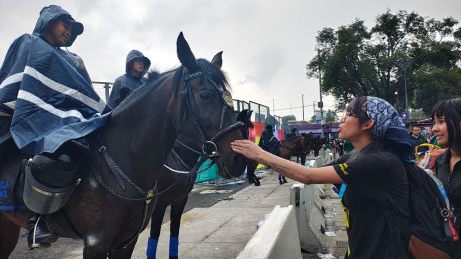 Felicita Harfuch a la polic&iacute;a de la CDMX: &ldquo;actuaron con temple&rdquo;