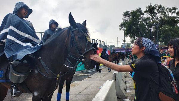 Felicita Harfuch a la polic&iacute;a de la CDMX: &ldquo;actuaron con temple&rdquo;