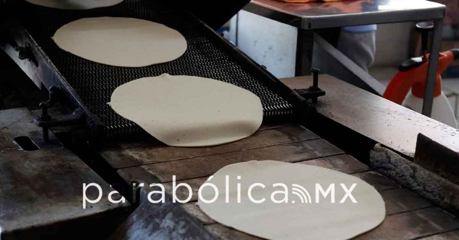 Asegura Julio Berdegu&eacute; que no habr&aacute; aumento en el precio de la tortilla