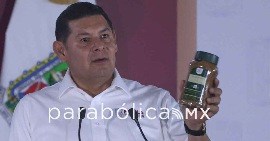 Se alinea Armenta con Sheinbaum: aspirantes deber&aacute;n dejar el cargo rumbo a 2027