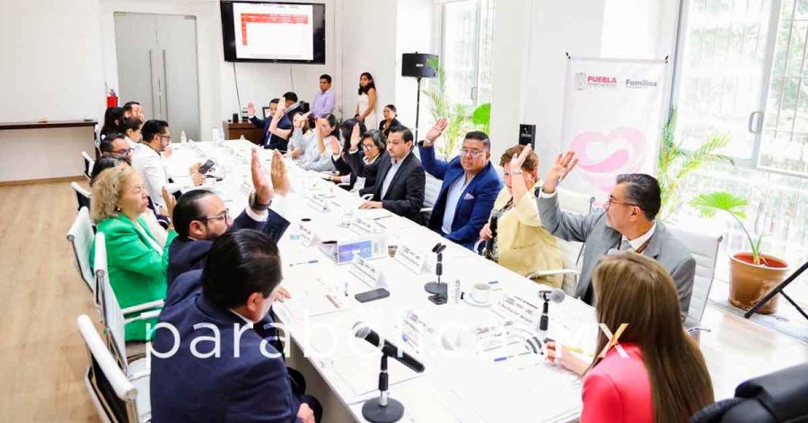 Presenta DIF balance de los avances registrados en materia de adopciones