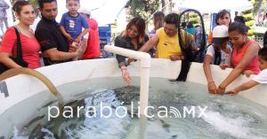 Promueve SDR&nbsp;pescado poblano