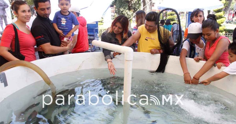 Promueve SDR&nbsp;pescado poblano