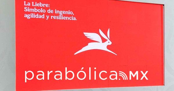 Respaldamos todos los proyectos de Sheinbaum aunque peligre producci&oacute;n de Olinia en Puebla: Armenta