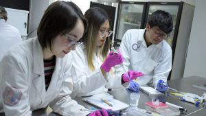 Infectolog&iacute;a Molecular BUAP, soluci&oacute;n a problemas y capacitaci&oacute;n profesional