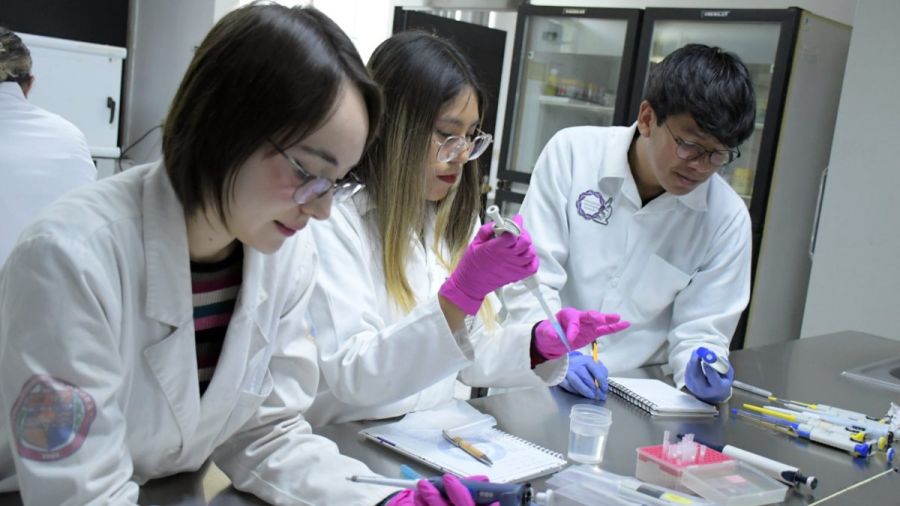 Infectolog&iacute;a Molecular BUAP, soluci&oacute;n a problemas y capacitaci&oacute;n profesional