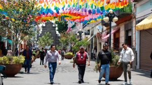 Gobierno de Pepe Chedraui apoya a MIPYMES con programas