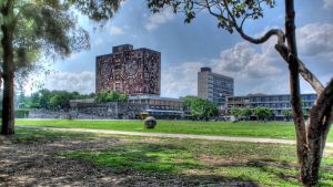 Sugieren tomar medidas de salud para asistir al Mundial