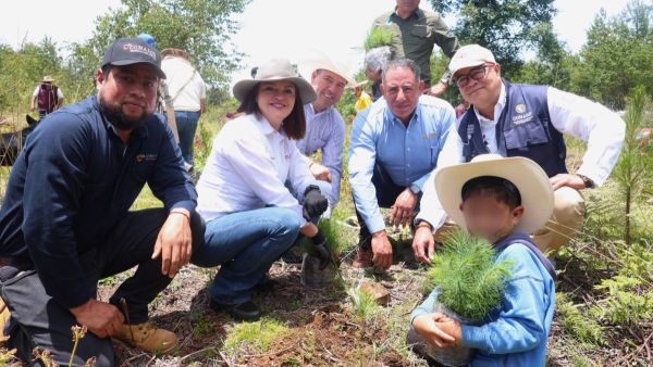 Ayuntamiento de Zacatl&aacute;n se suman a jornada estatal de reforestaci&oacute;n
