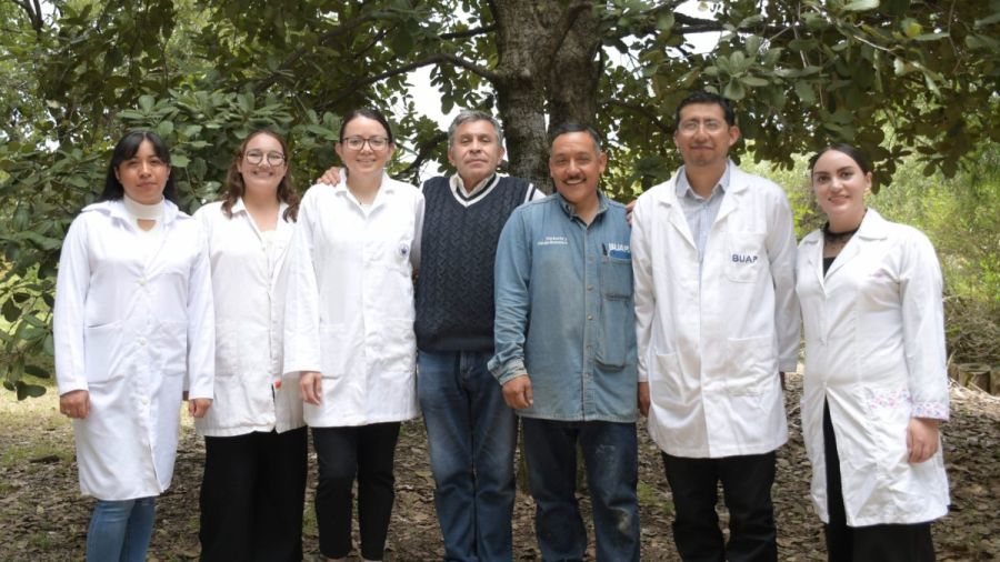 En la BUAP crean nanomateriales para combatir gusano barrenador