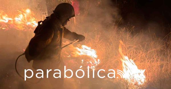 Se ha logrado liquidar 88 incendios forestales: Gobierno de Puebla
