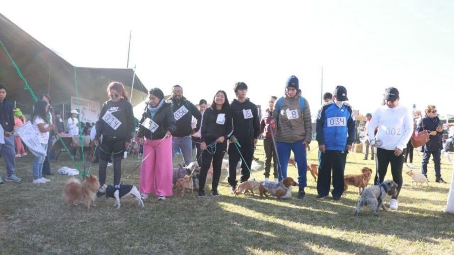 &iexcl;A correr! Invita Atlixco a la actividad &ldquo;Patitas Fugaces&rdquo;