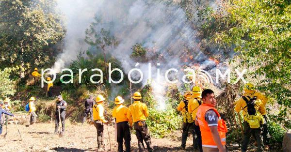 Sofoca PC estatal incendio en Chilchotla
