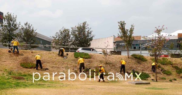 Fortalecen gobierno estatal y ambientalistas bosque urbano del CIS