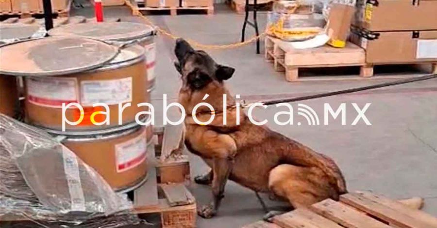 Asegura Marina 245 kilos de metanfetamina en el AICM
