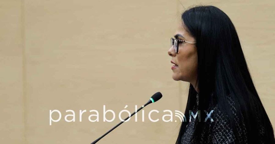 Exhibe Fedrha Suriano contra el PRI por vandalismo en San L&aacute;zaro