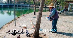 Confirma Bienestar Animal buen estado de salud de especies del Parque Ecol&oacute;gico