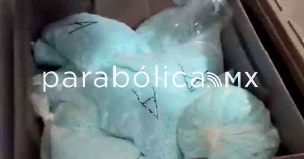 Presume Harfuch importante decomiso de fentanilo con apoyo de la DEA