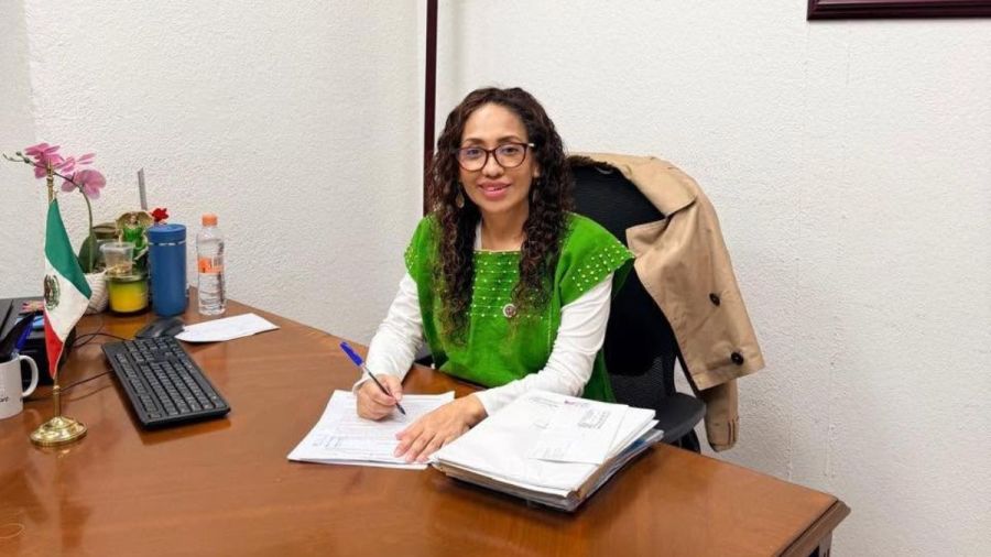 A los 44 a&ntilde;os de edad, falleci&oacute; la diputada Anay Beltr&aacute;n Reyes