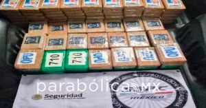 Interceptan 217 kg de coca&iacute;na en un veh&iacute;culo en CDMX: Harfuch