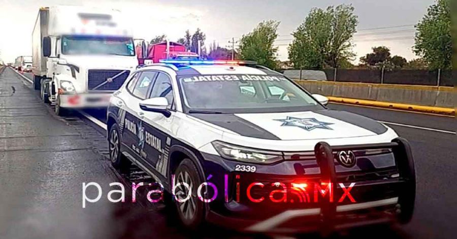 Reportan fuerzas de seguridad 84 detenciones en los &uacute;ltimos d&iacute;as