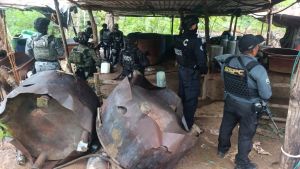 Desmantelan tres narcolaboratorios clandestinos en Guerrero