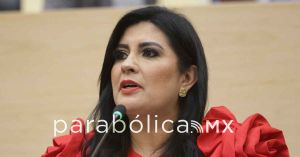 Quiere PRI reformar el C&oacute;digo de &Eacute;tica del Congreso sobre comunicaci&oacute;n digital