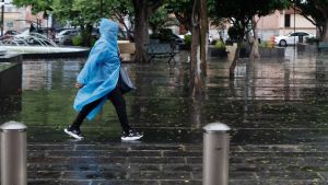 Despliega Pepe Chedraui acciones preventivas ante pron&oacute;stico de lluvias