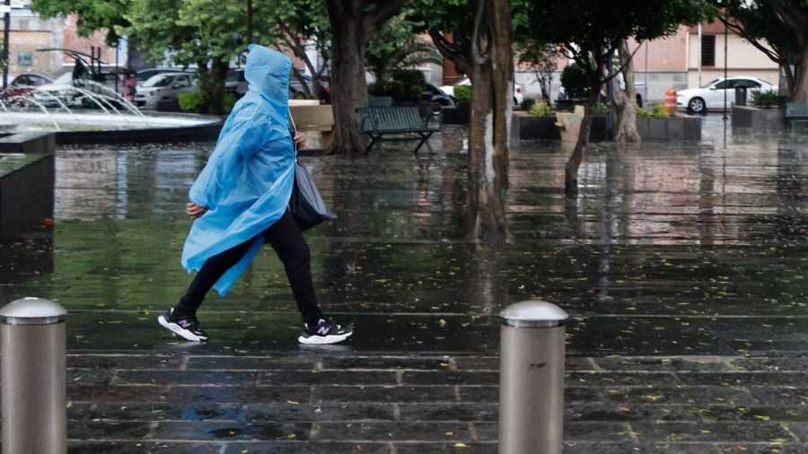 Despliega Pepe Chedraui acciones preventivas ante pron&oacute;stico de lluvias