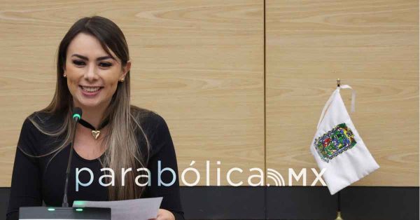 Propone Mar&iacute;a de la Barreda castigar la conducci&oacute;n riesgosa