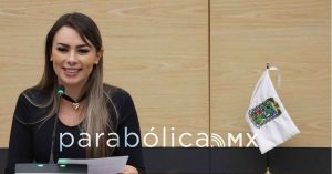 Propone Mar&iacute;a de la Barreda castigar la conducci&oacute;n riesgosa