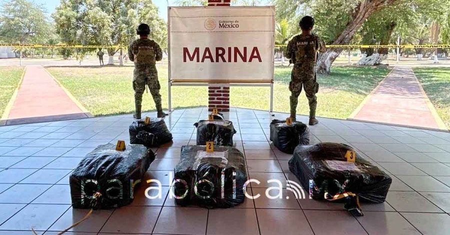 Da Gabinete de Seguridad dos fuertes golpes al trasiego de coca; aseguran casi 400 kgs