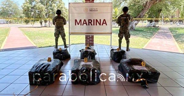 Da Gabinete de Seguridad dos fuertes golpes al trasiego de coca; aseguran casi 400 kgs